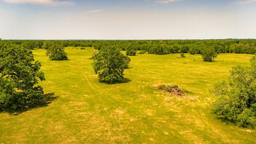 6 Boyd Rd, Madisonville, TX, 77864 | Card Image
