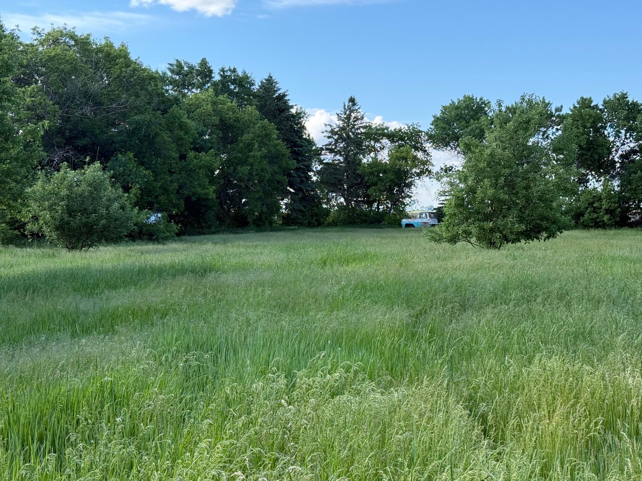 Land in Webster 2