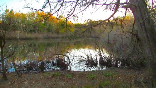 TBD County Road 4736, Cumby, TX, 75433 | Card Image