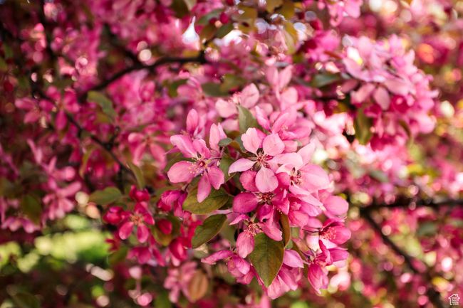 Spring is in the air! | Image 37