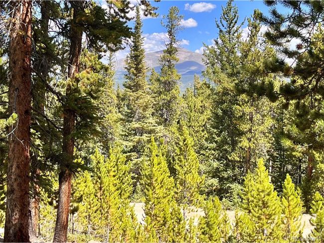 676 Dry Gulch Rd, Home with 0 bedrooms, 0 bathrooms and null parking in Fairplay CO | Image 13