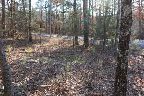 Lot 86 Lynn Creek Drive, Fairfield Bay, AR, 72088 | Card Image