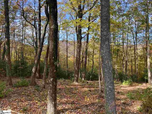 1526 Panther Park Trl, Travelers Rest, SC, 29690-3814 | Card Image