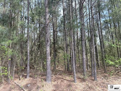 0 Arnold Road, Choudrant, LA, 71270 | Card Image