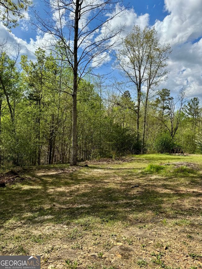 1037 County Road 43, Home with 0 bedrooms, 0 bathrooms and null parking in HEFLIN AL | Image 15