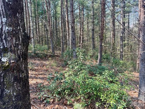 41-2494 Ivy Rays Way, Nebo, NC, 28761 | Card Image