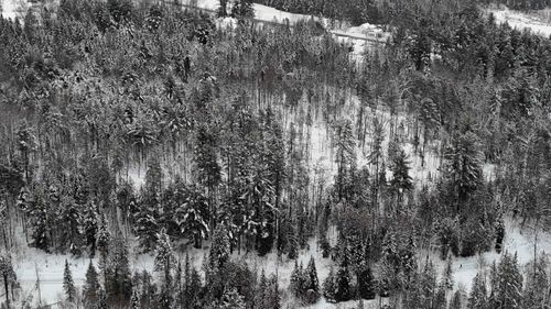 00 Wheelock Rd, Sutton, VT, 05867 | Card Image