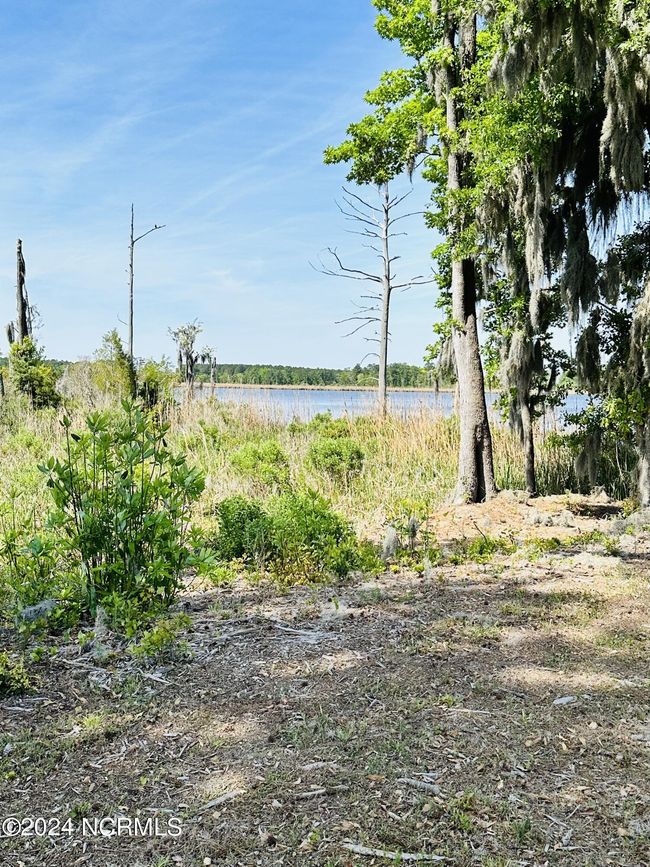 42 Sr 1767 Off, Home with 0 bedrooms, 0 bathrooms and null parking in Pinetown NC | Image 7