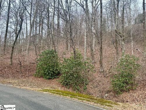 00 Indian Pipe Trail, Landrum, SC, 29356-3329 | Card Image