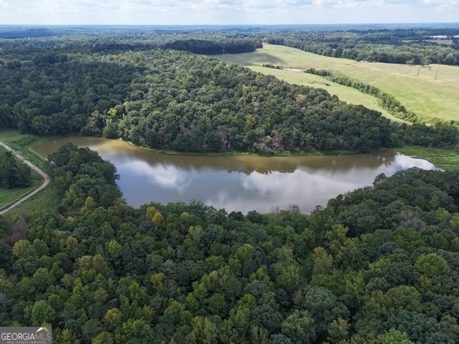 TRACT-10 - 0 Sanford Dr, Home with 0 bedrooms, 0 bathrooms and null parking in Nicholson GA | Image 6