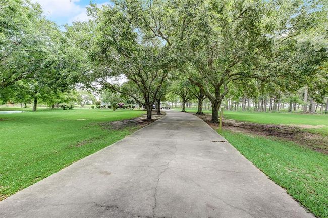 Gorgeous Oak tree lined driveway coming from the automatic gate offer a dramatic entrance. | Image 4