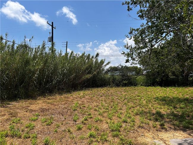 410 E 3 Rd St, House other with 3 bedrooms, 2 bathrooms and null parking in Bishop TX | Image 7
