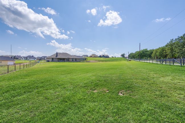 Green grass means less mud....and that is a good thing! | Image 29