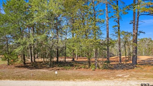 8741 Wilder Trl, Tyler, TX, 75703 | Card Image