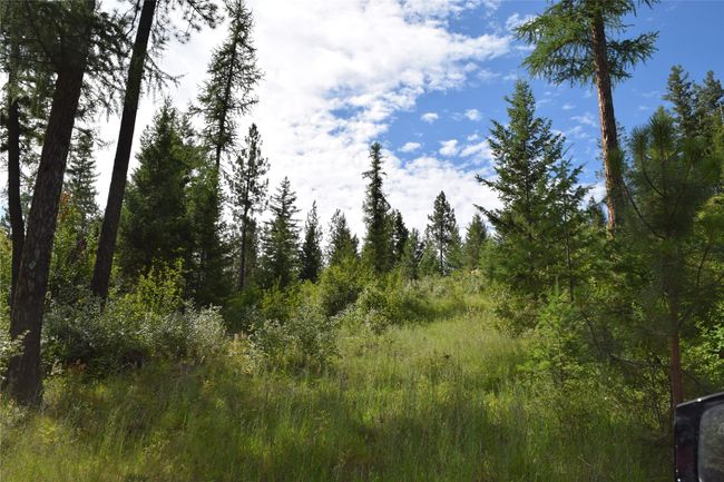 73487 Arlee Pines Dr, Home with 0 bedrooms, 0 bathrooms and null parking in Arlee MT | Image 12