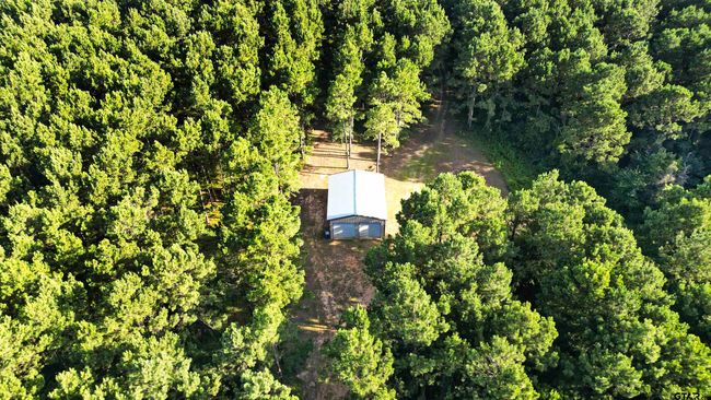 TBD 17.57 ACRES Fm 2274, Home with 1 bedrooms, 1 bathrooms and null parking in Troup TX | Image 9