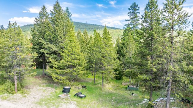 View of mountain backdrop featuring a heavily wooded area | Image 109