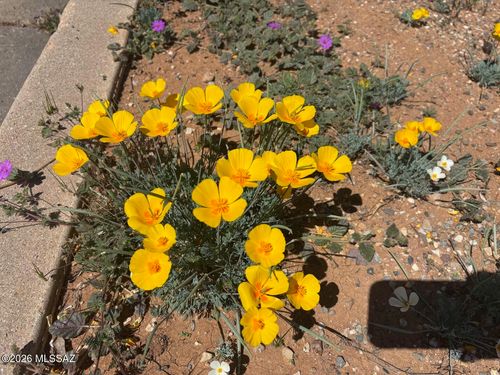 Vacant lot E Justin Street, Pearce, AZ, 85625 | Card Image