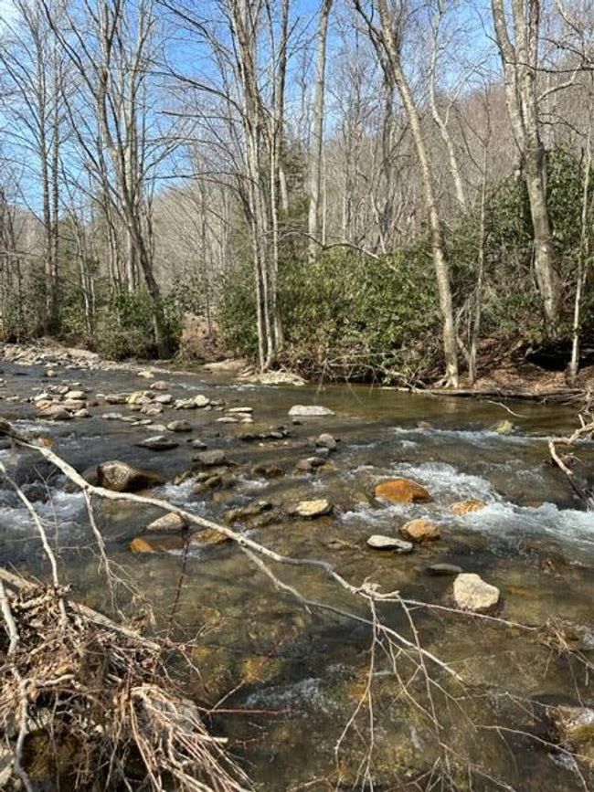 267 Sturgills Rd, House other with 3 bedrooms, 3 bathrooms and null parking in Mouth of Wilson VA | Image 94
