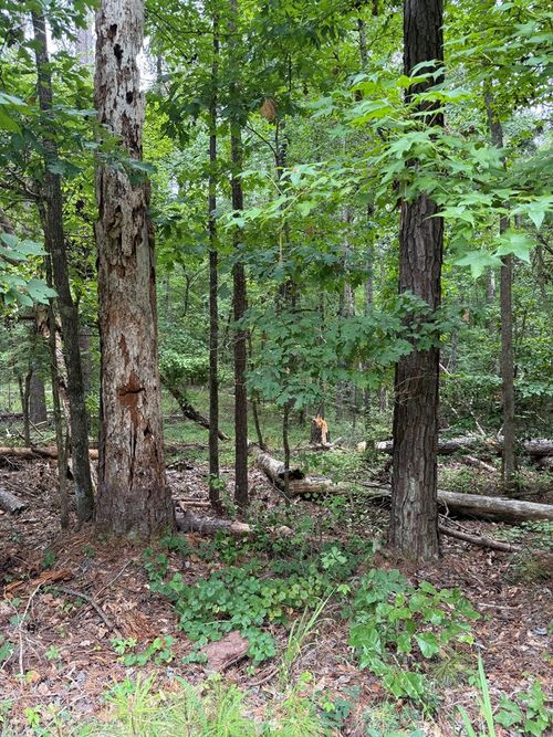 Lot 79 Island Creek Dr., Sparta, GA, 31087 | Card Image