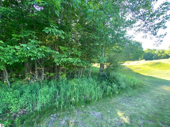 Lot 10 S Club Dr, Home with 0 bedrooms, 0 bathrooms and null parking in Cedar MI | Image 14