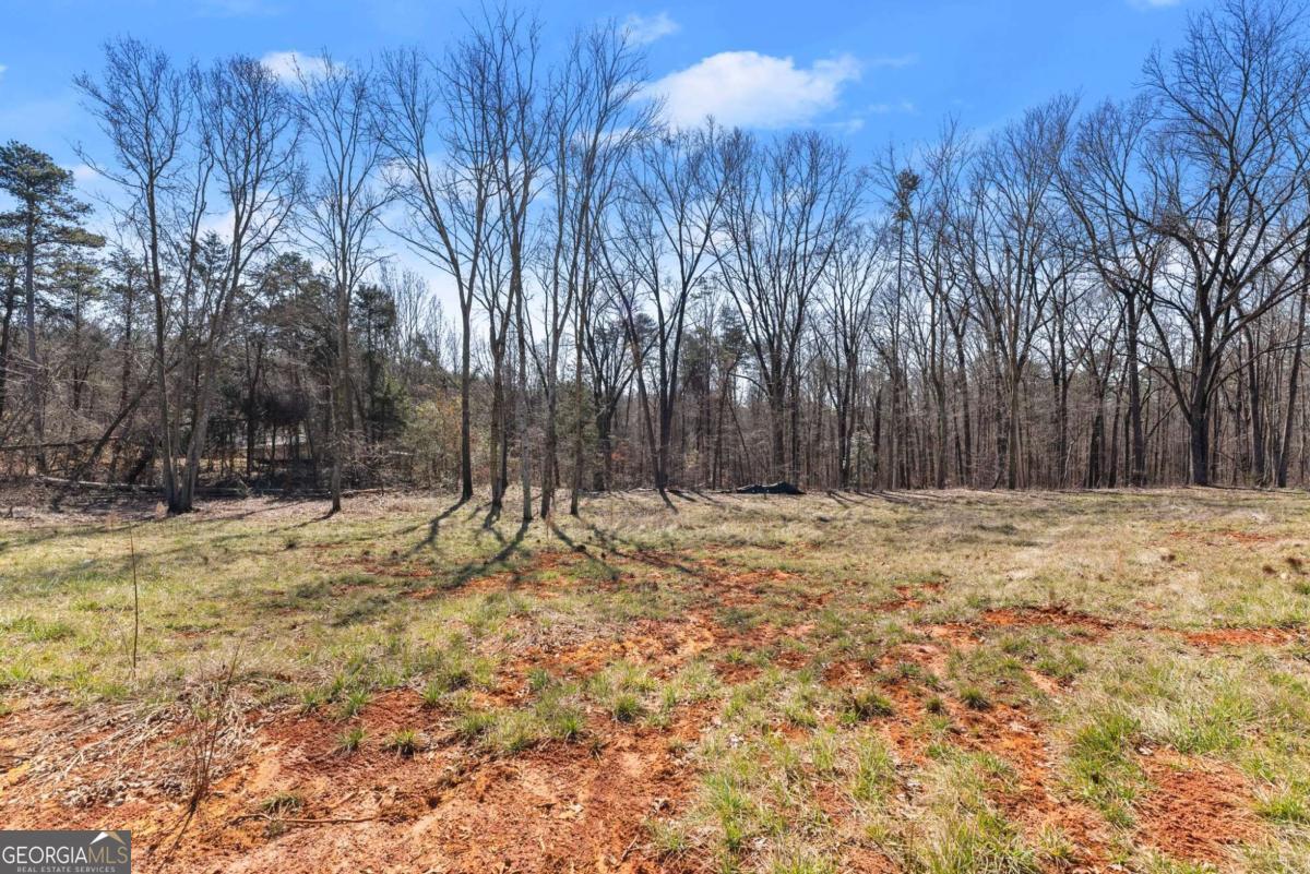 Land in Carnesville 3