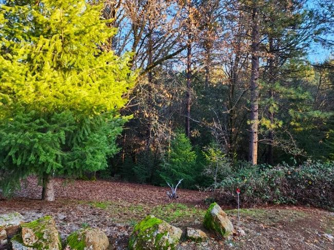 955 Grinding Rock Ct, House other with 3 bedrooms, 2 bathrooms and null parking in West Point CA | Image 46