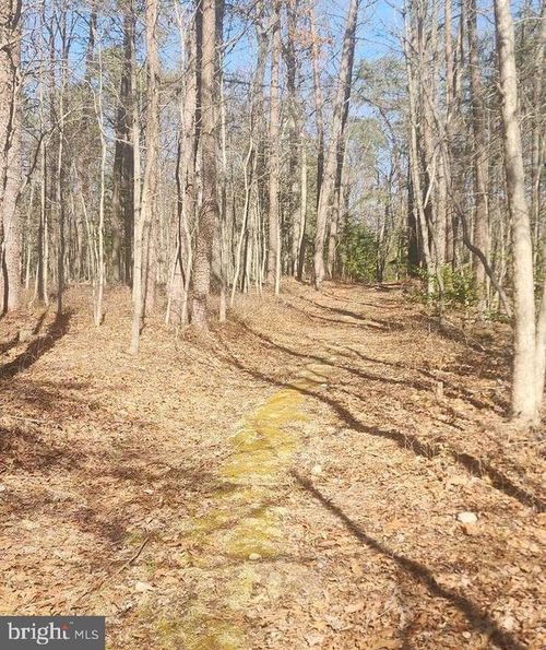 0 Dogwood Ln, BENTONVILLE, VA, 22610 | Card Image