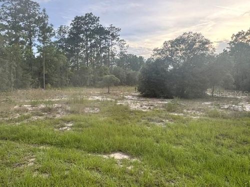 Vacant Land Sw Mineola Lane, Dunnellon, FL, 34431 | Card Image