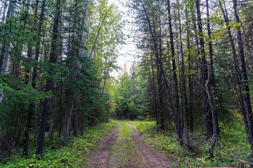 775 Trail Creek Rd, Polebridge, MT, 59928-9751 | Card Image