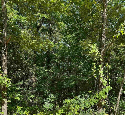 3.5 acres Heber Springs Road, Locust Grove, AR, 72550 | Card Image