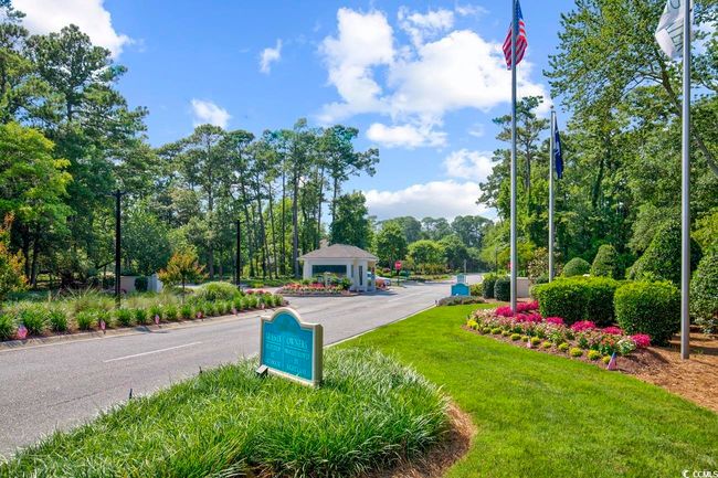 View of asphalt road featuring view of wooded area | Image 34