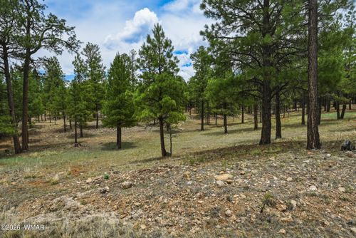 2799 Cherokee Way, Happy Jack, AZ, 86024 | Card Image