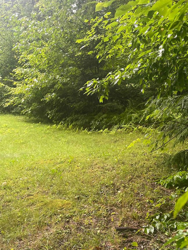 603 Corporation Rd, House other with 2 bedrooms, 0 bathrooms and null parking in Rochester VT | Image 22