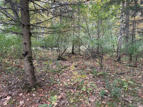 0000 Wildwood Rd., Evart, MI, 49631 | Card Image