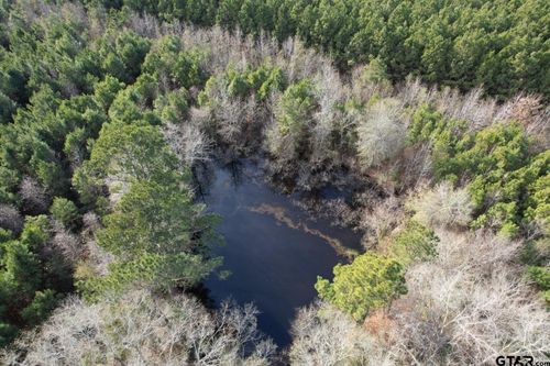 Tract D County Road 4037, Timpson, TX, 75975 | Card Image