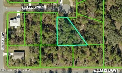11334 Telephone Rd, Weeki Wachee, FL, 34614-1382 | Card Image