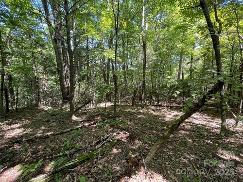 4-99999 Morgan Hill Rd, Fairview, NC, 28730 | Card Image