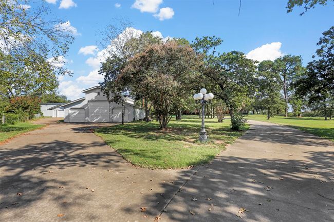 View of street | Image 33