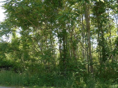 21 Papermill Rd, West Wareham, MA, 02576-1358 | Card Image