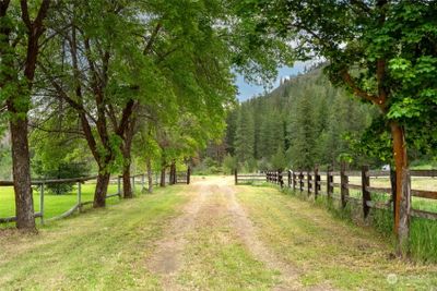 A tree-lined entry leads to the secluded property within easy access from Poorman Creek Road. | Image 2