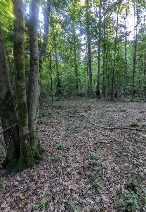 4 +/-Acres River Road, Ellenwood, GA, 30294 | Card Image