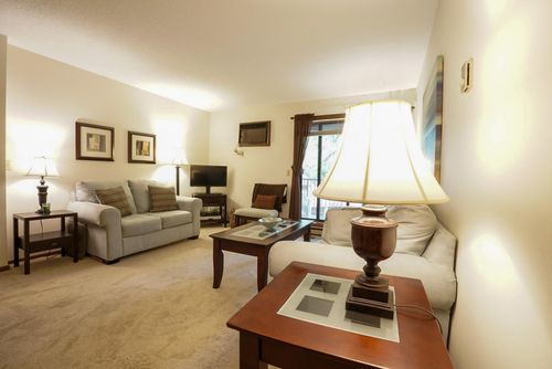 unit-206-350 Shelard Pkwy, Saint Louis Park, MN, 55426-1052 | Card Image