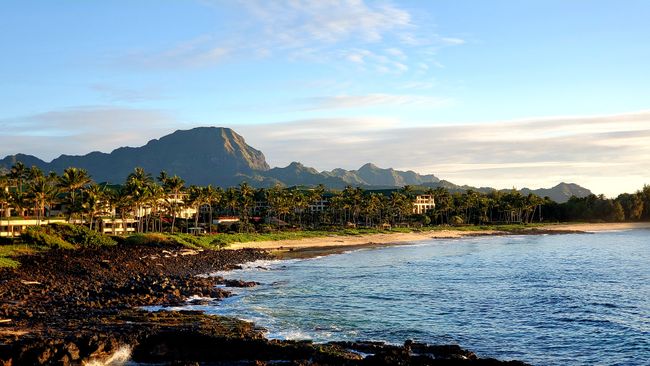 Walk to Shipwrecks Beach and Grand Hyatt | Image 28