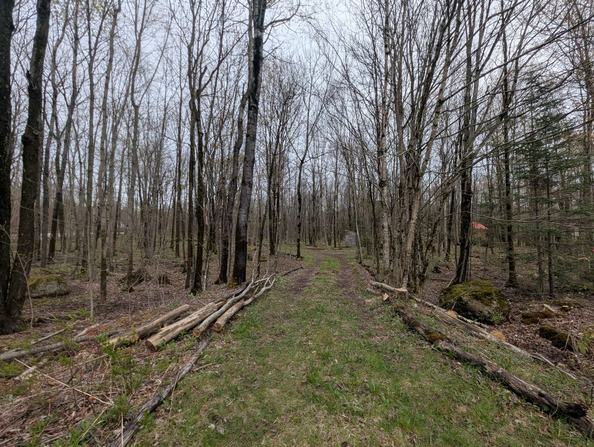 Land in Eastman 4