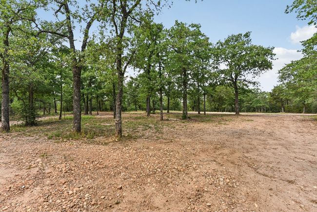 View of local wilderness | Image 18