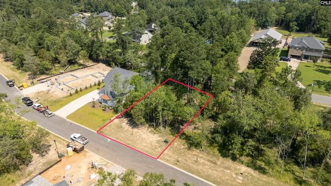 812 Elms Spinney Ln, Home with 0 bedrooms, 0 bathrooms and null parking in Chapin SC | Image 13