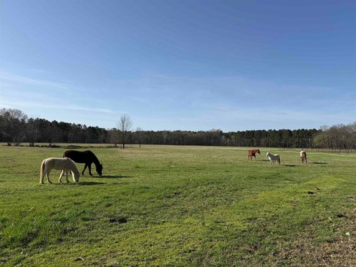 5500 Sunshine Ln, Pangburn, AR, 72121 | Card Image