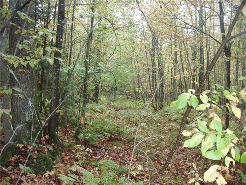 80+/- Acres On Bass Lake Road, Lake, WI, 54552 | Card Image