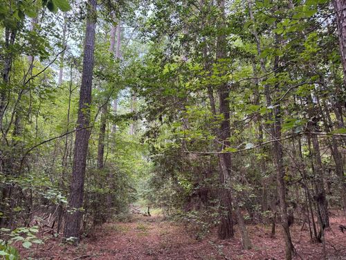 19-12s-16w Ouachita Co., Ar, Camden, AR, 71701 | Card Image
